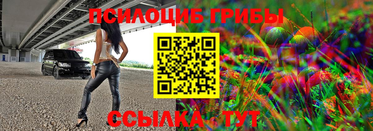 сколько стоит  Галлюциногенные грибы прущие грибы  Вход с VPN  Кандалакша 